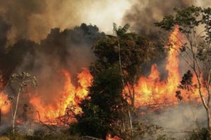 Ministra del Ambiente asegura que incendio forestal no llega a territorio peruano
